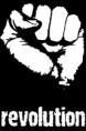 /album/photogallery/revolution-with-fist-jpeg/